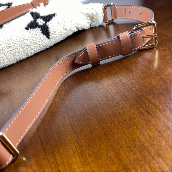 Louis Vuitton Teddy Mono Bumbag - Picture 6 of 14